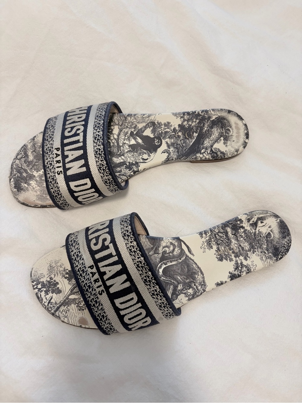 Dior Blue and White Toile Slide Sandals